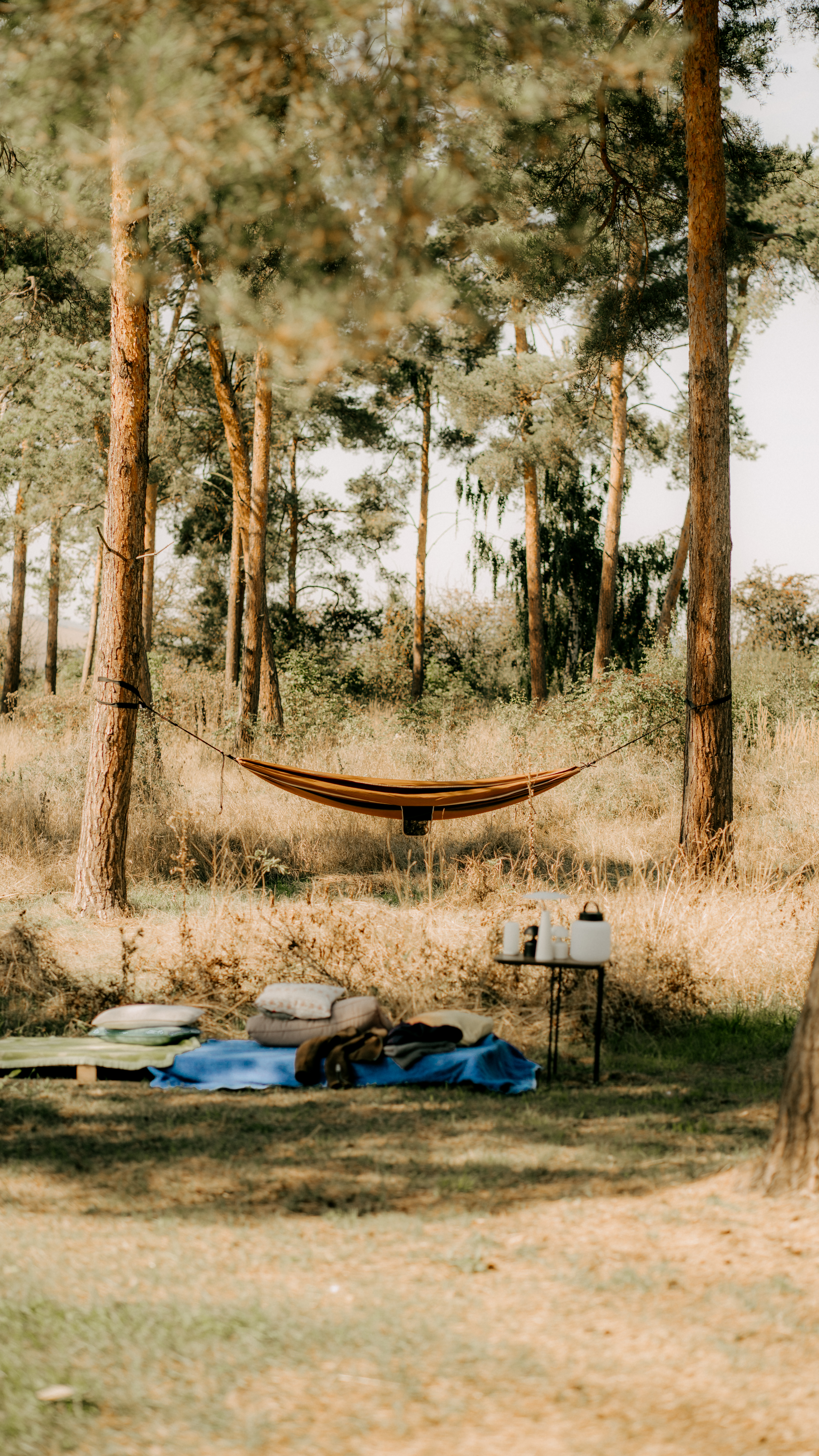 odpočívárna na svatbě