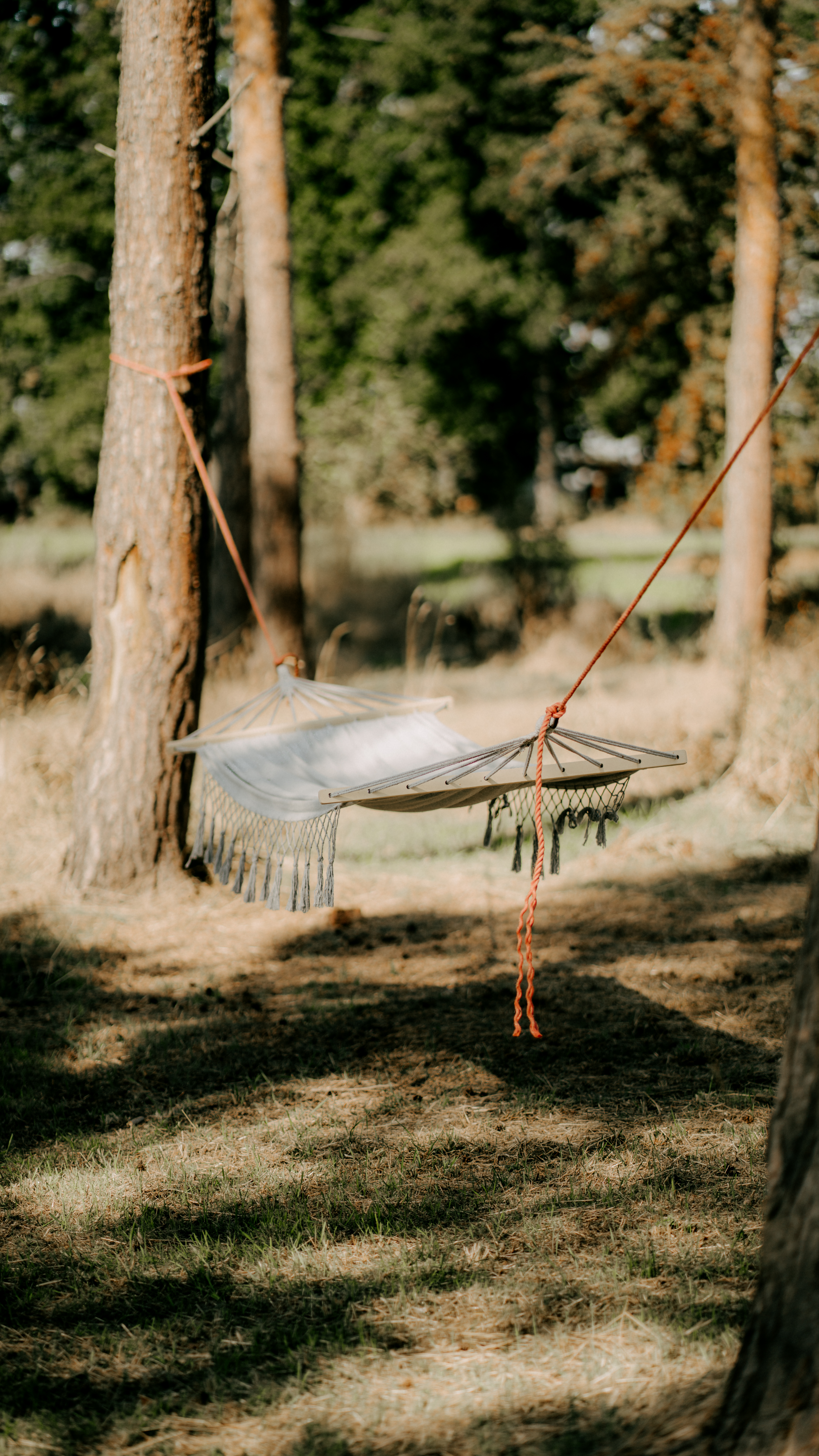 chill zóna na svatbě