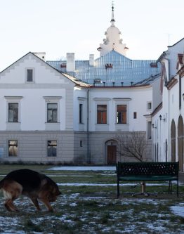 svatba na zámku ještě letos